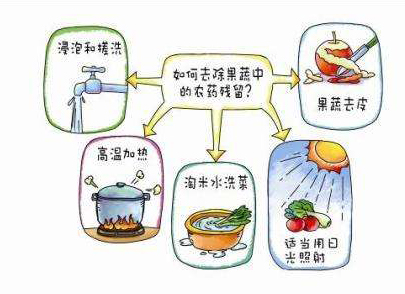 怎样镌汰农药污染去除农药残留？j9九游会化工总结以下几点分享给各人